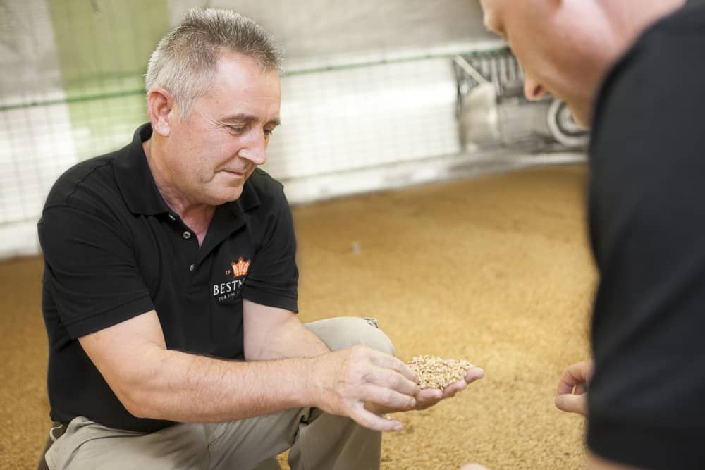 Ensuring malt quality in the malting process